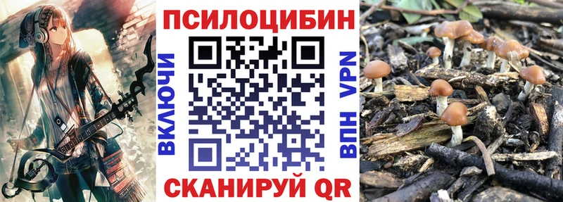 blacksprut онион  Бабаево  Галлюциногенные грибы прущие грибы 