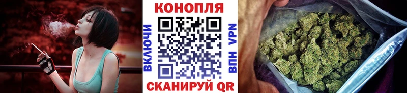 Конопля индика  цена наркотик  Бабаево 